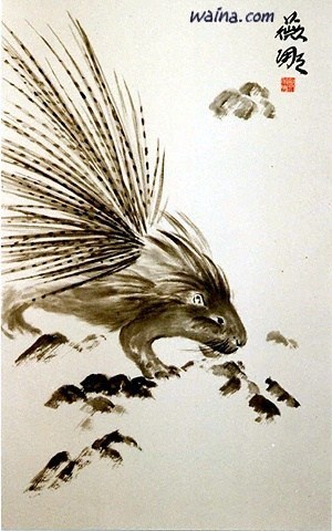 300x480 Porcupine - Porcupine Painting