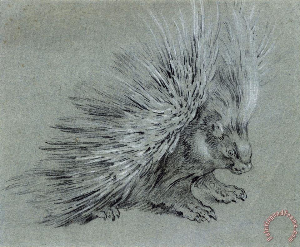 960x793 Jean Baptiste Oudry Porcupine Painting - Porcupine Painting