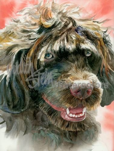 377x500 Portuguese Water Dog, Brown, Akc Sporting, Hunting Gun Dog, Pet - Portuguese Water Dog Painting