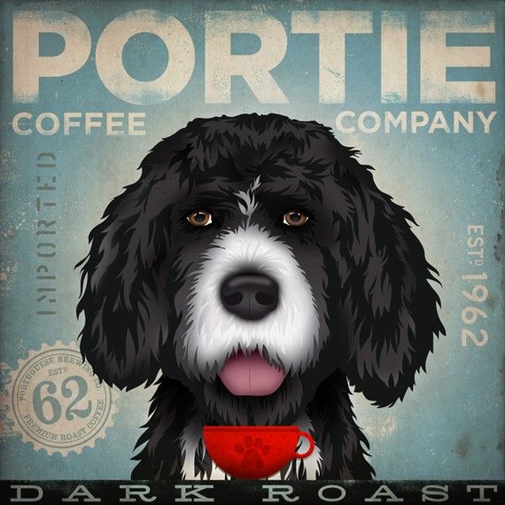 570x570 Portuguese Water Dog Coffee Company Original By Geministudio - Portuguese Water Dog Painting