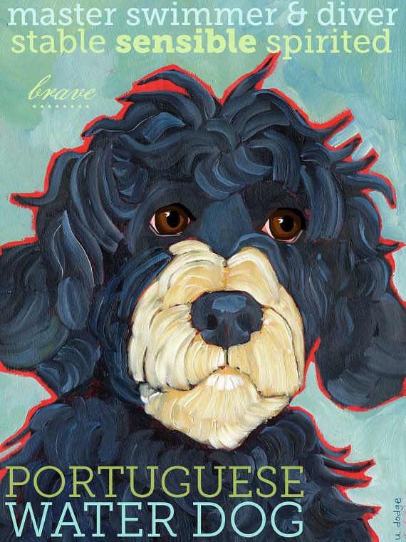 570x760 Portuguese Water Dog No. 1 2x3 Magnet From By Ursuladodge - Portuguese Water Dog Painting