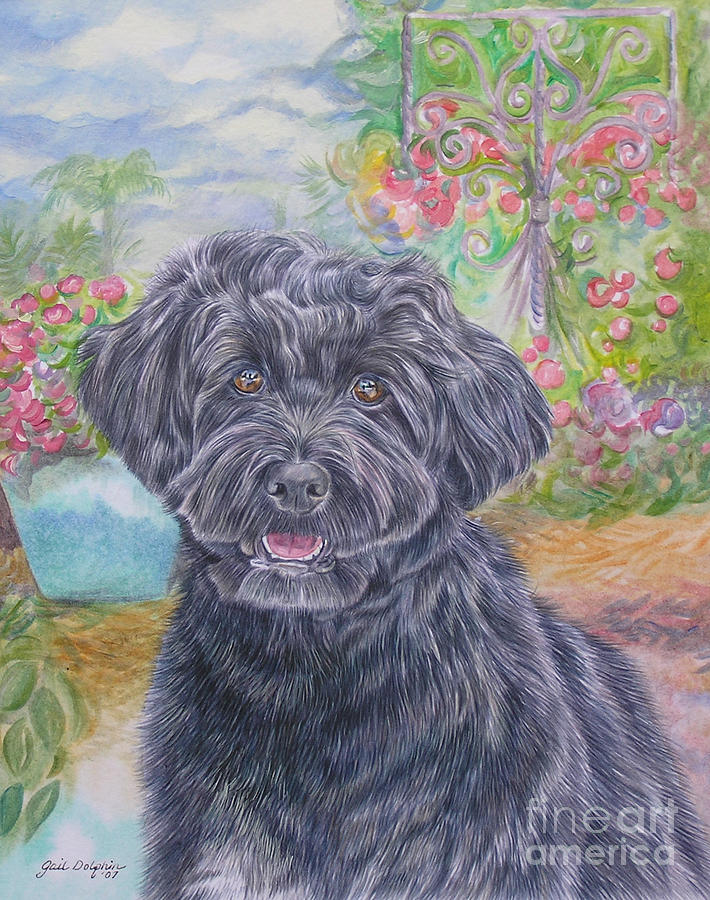 710x900 Portuguese Water Dog Painting By Gail Dolphin - Portuguese Water Dog Painting