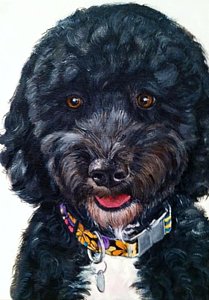 209x300 Portuguese Water Dog Paintings - Portuguese Water Dog Painting