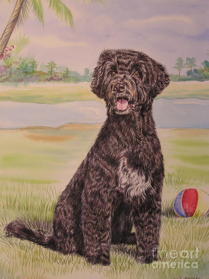 673x900 Portuguese Water Dog With Ball Painting By Gail Dolphin - Portuguese Water Dog Painting