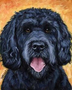 236x295 Daily Paintworks - Portuguese Water Dog Painting