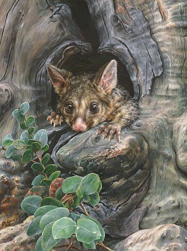366x493 My Hollow, My Home - Possum Painting