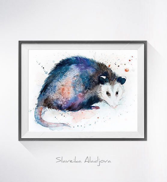 556x604 Original Watercolour Painting Opossum Art Animal - Possum Painting