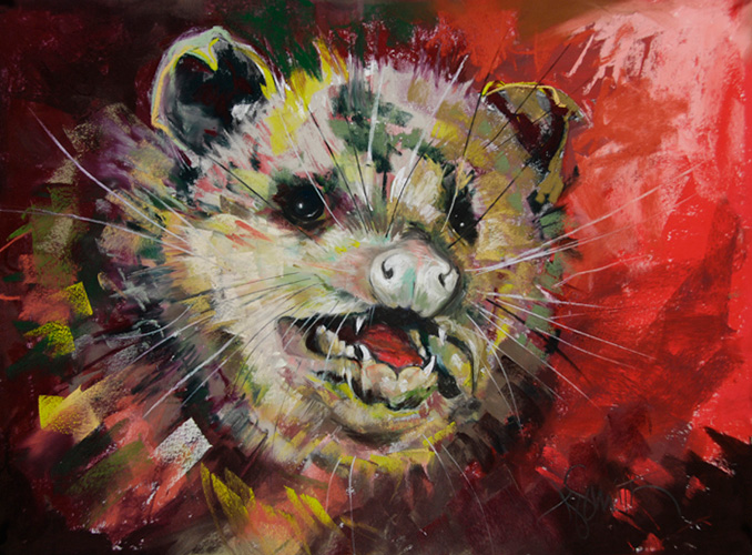 678x500 Pastel Paintings The Travels Of Judith Smith Pacific Northwest - Possum Painting