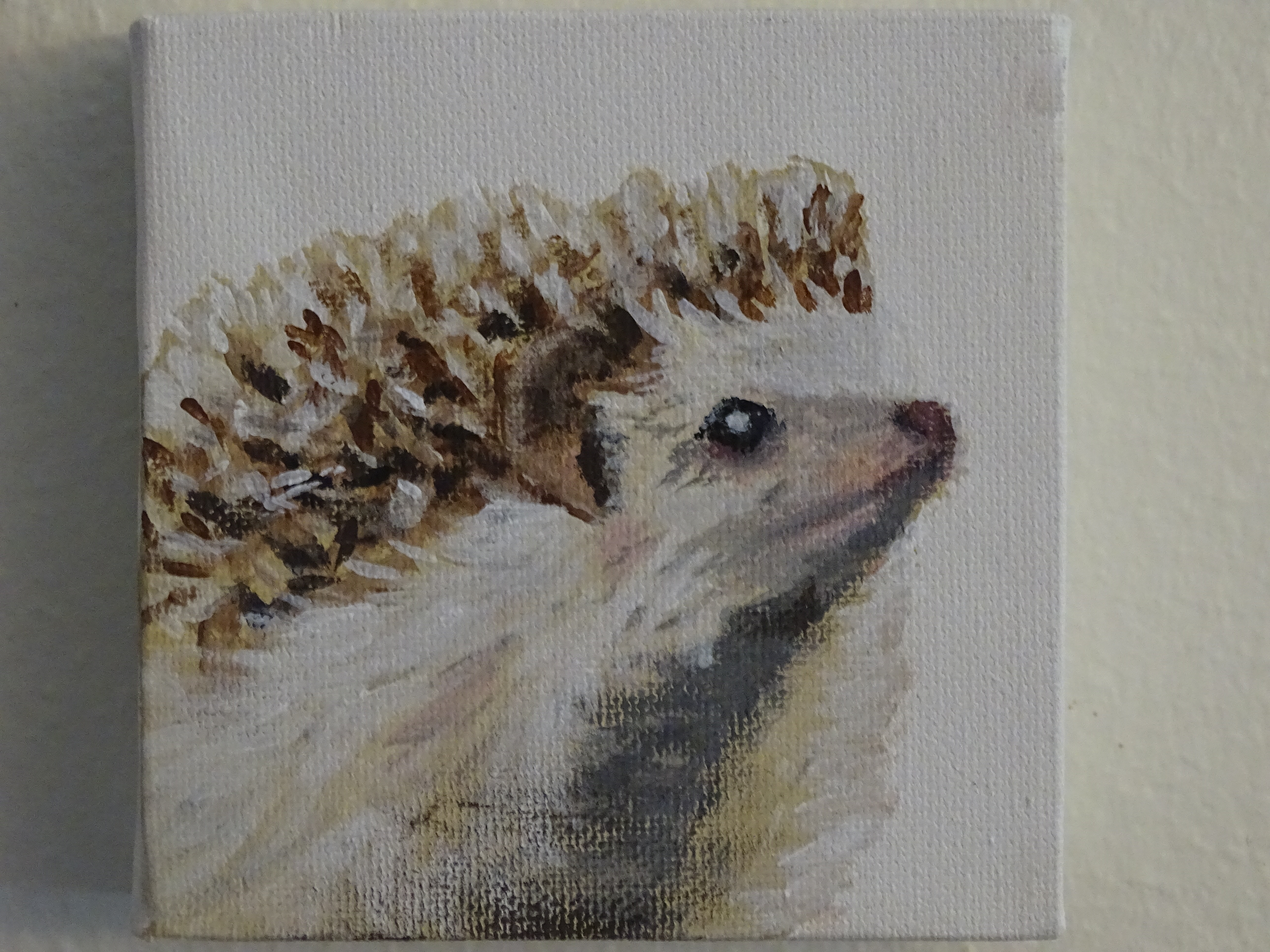 5184x3888 Art By R.cooper Art Portfolio - Possum Painting