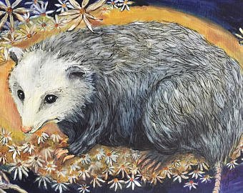 340x270 Possum Painting Etsy - Possum Painting