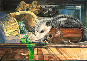 300x209 Possums Paintings Fine Art America - Possum Painting