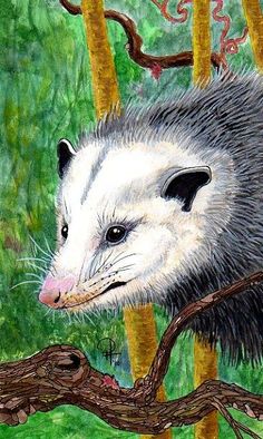 236x394 These Befuddled Possums Just Make Me Laugh. Repeating Possum - Possum Painting