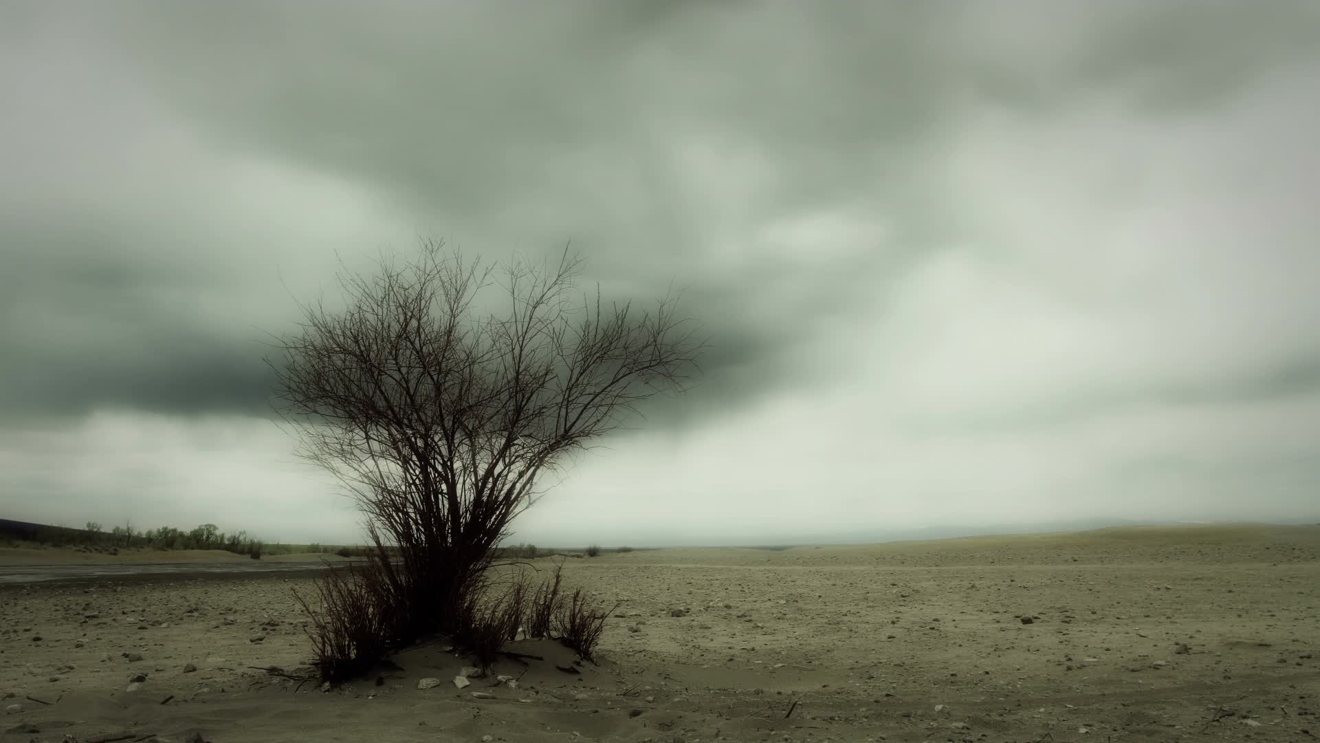 1920x1080 Video Eerie Tree In Post Apocalyptic Landscape ~ - Post Apocalyptic Landscape Painting