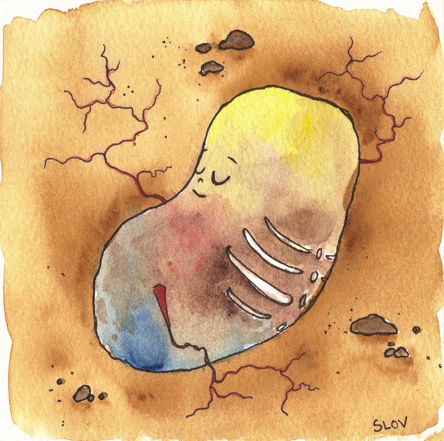 906x899 The Potato Painting And Poem Slovly - Potato Painting