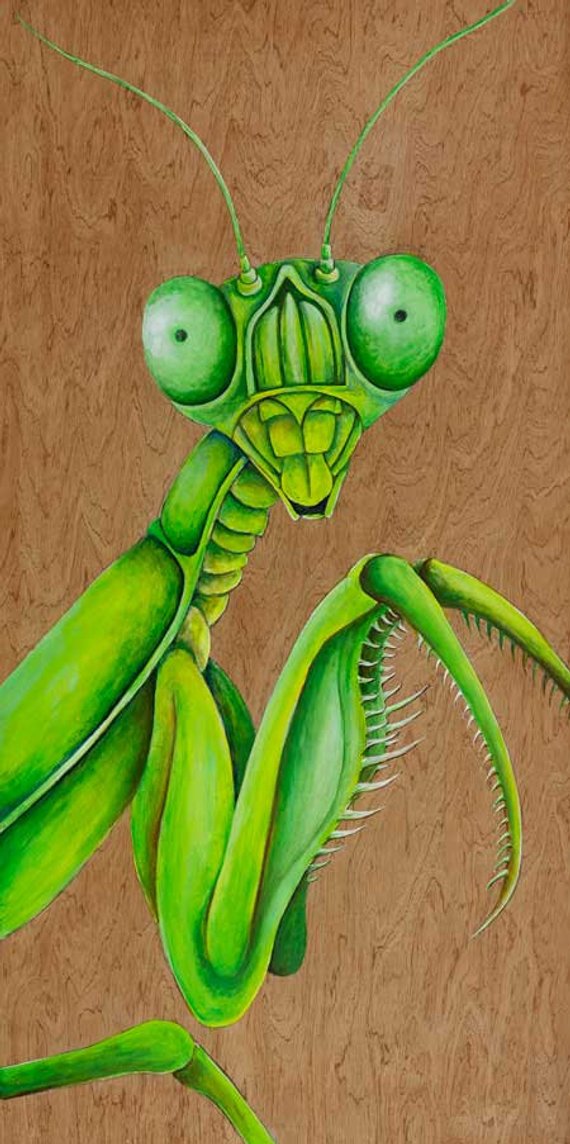 570x1144 Praying Mantis Art Mantis Painting Original Insect Artwork - Praying Mantis Painting