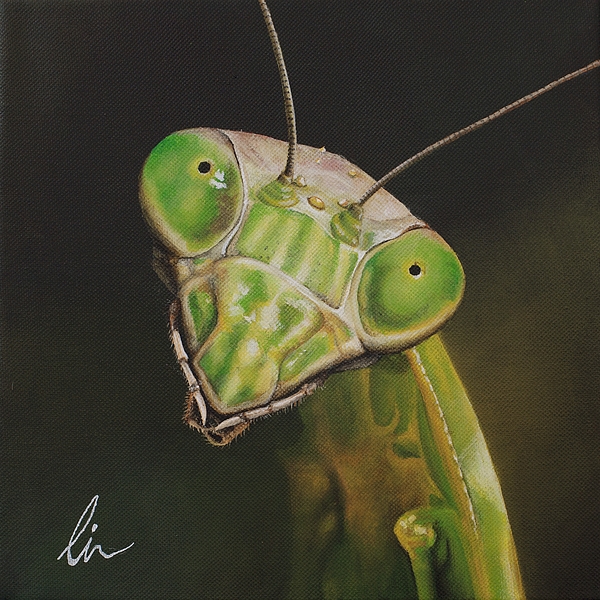600x600 Praying Mantis Painting By Cindy D Chinn - Praying Mantis Painting