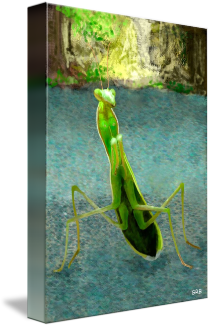 417x650 Praying Mantis By Glynn Black - Praying Mantis Painting