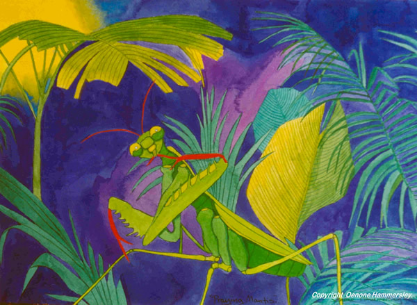 600x439 Oeh Praying Mantis - Praying Mantis Painting