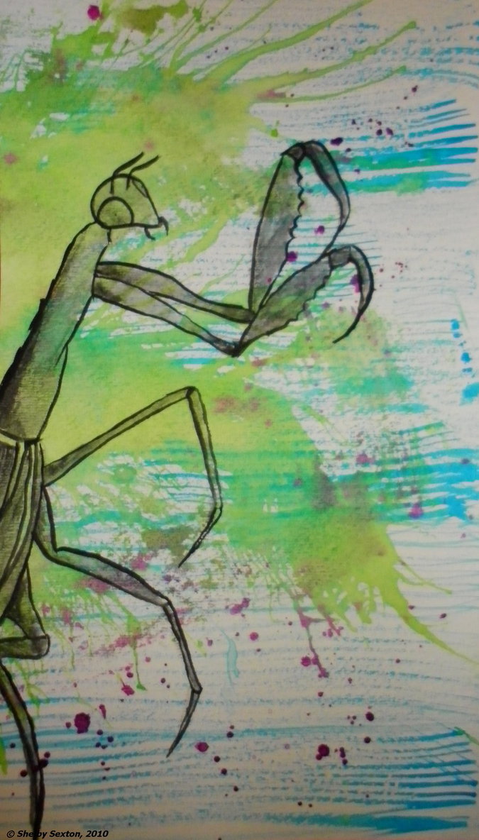 675x1184 Watercolor Praying Mantis By Theshelbdiggity - Praying Mantis Painting