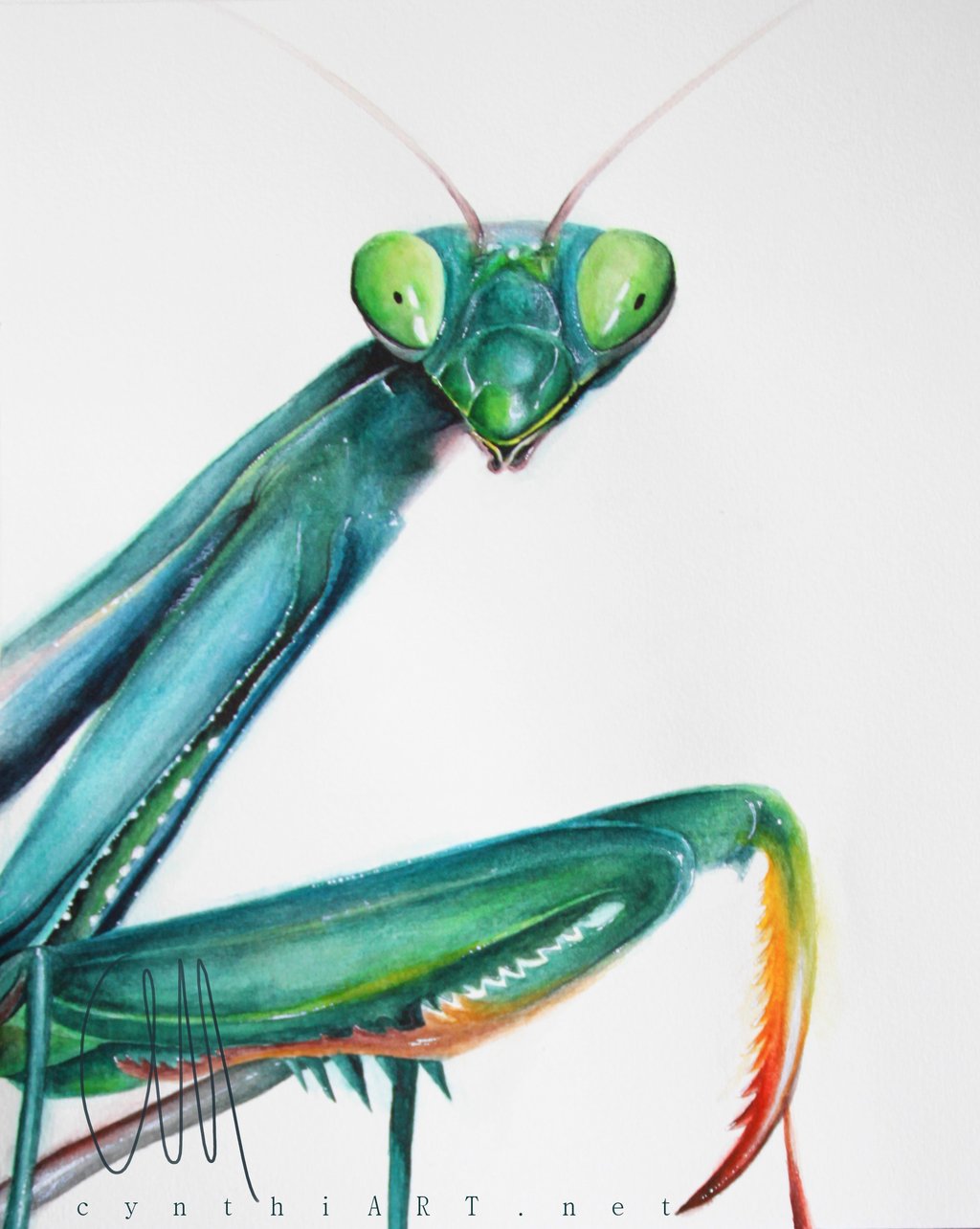 Praying Mantis Painting at PaintingValley.com | Explore collection of ...