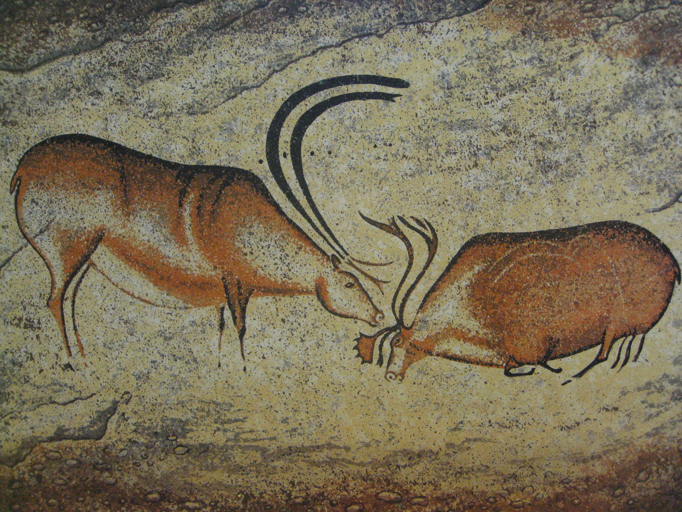 2592x1944 Packet - Prehistoric Painting