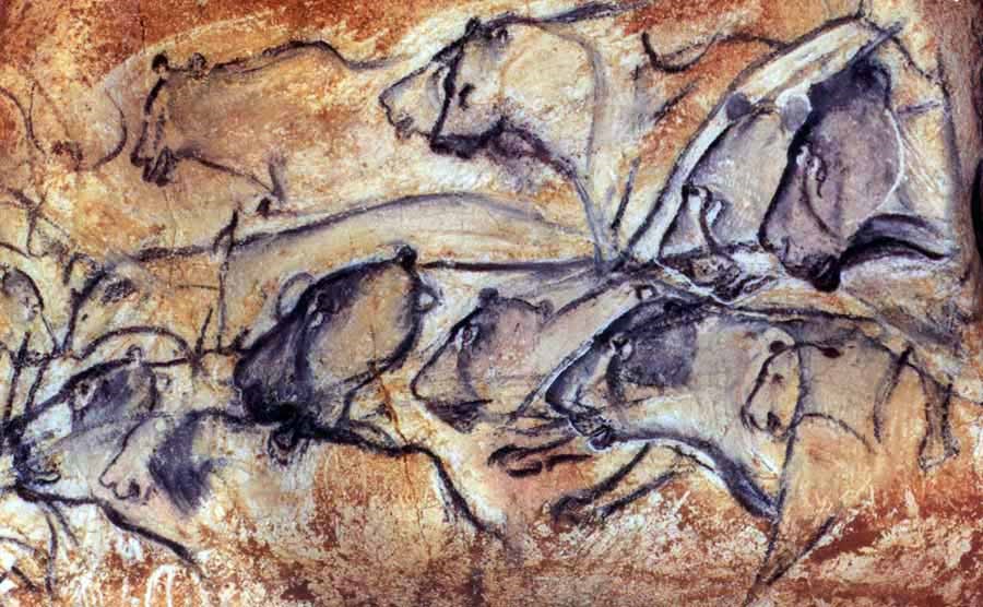900x556 Why Did Prehistoric People Make Cave Art - Prehistoric Painting