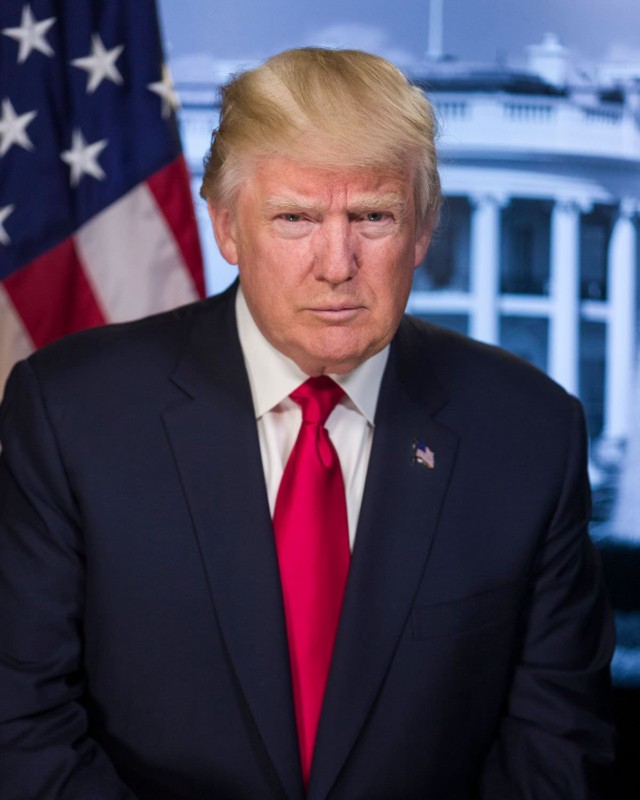 640x800 Trump's Official Portrait And The Language Of Lighting - President Trump Painting