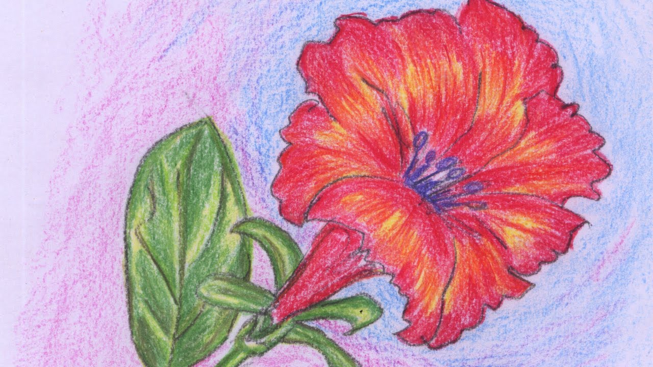 1280x720 Beautiful Flower Painting - Pretty Flower Painting