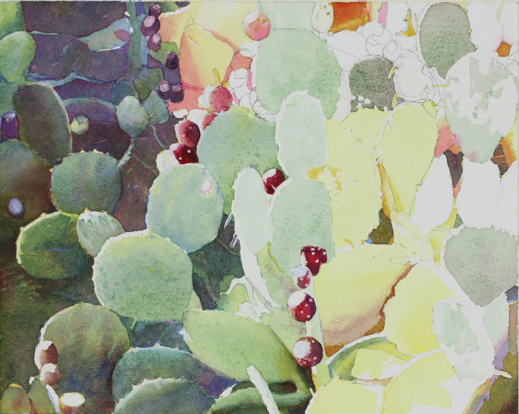 1800x1436 Judith Glover Art Watercolor Painting Of Prickly Pear Cactus - Prickly Pear Cactus Painting