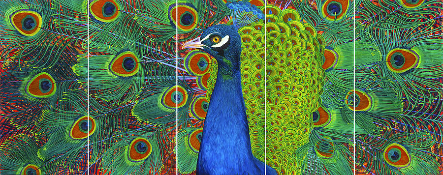 900x356 Peacock Pride Painting By Lisa Rodriguez - Pride Painting