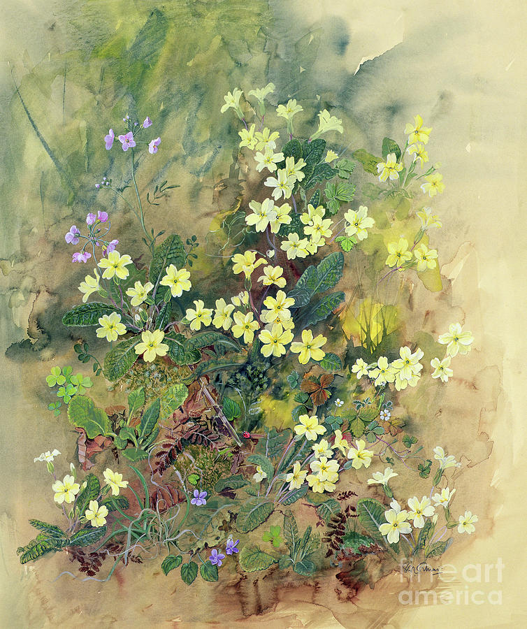 754x900 Primrose Bank Painting By John Gubbins - Primrose Painting