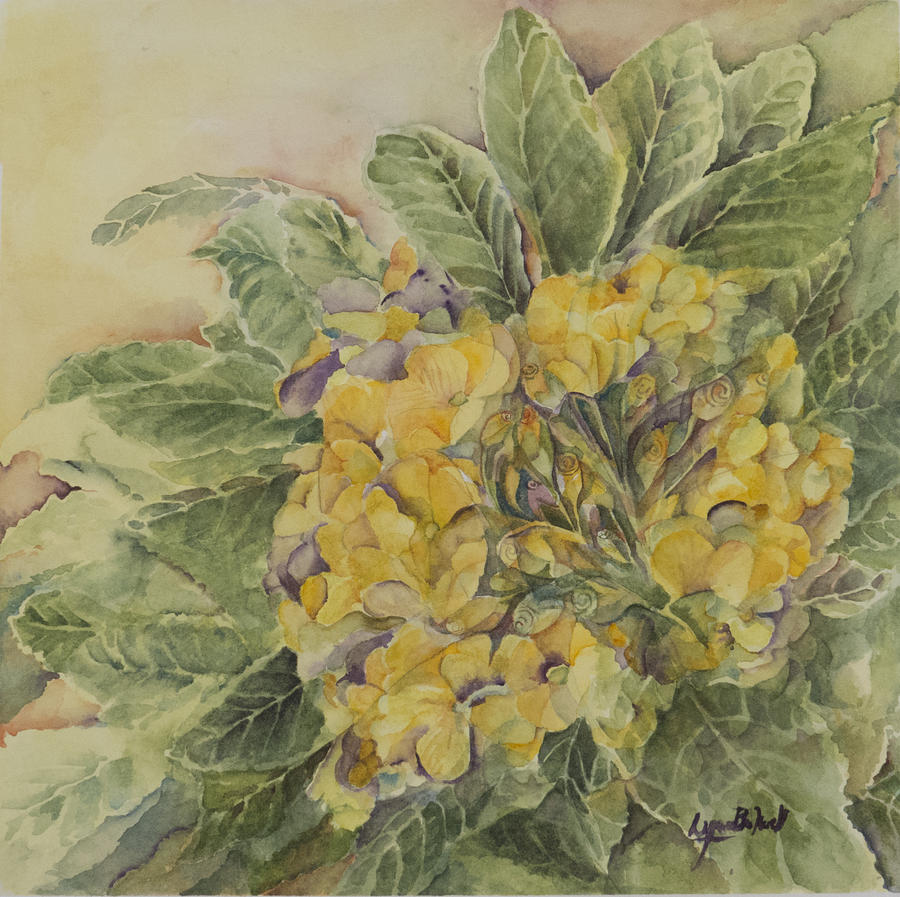 900x897 Yellow Primrose Painting By Lynne Bolwell - Primrose Painting