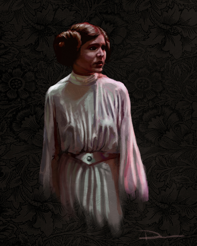 640x800 Princess Leia Digital Painting - Princess Leia Painting