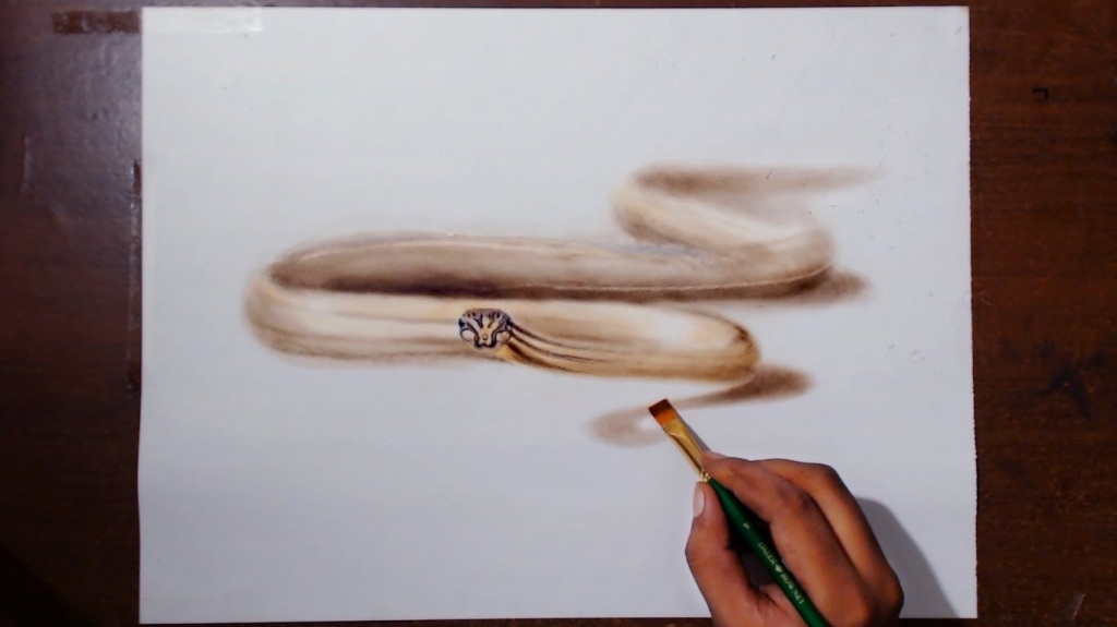 1024x575 Pencil Drawings Of Snakes Drawing A Snake Oil Painting Dry Brush - Prismacolor Painting