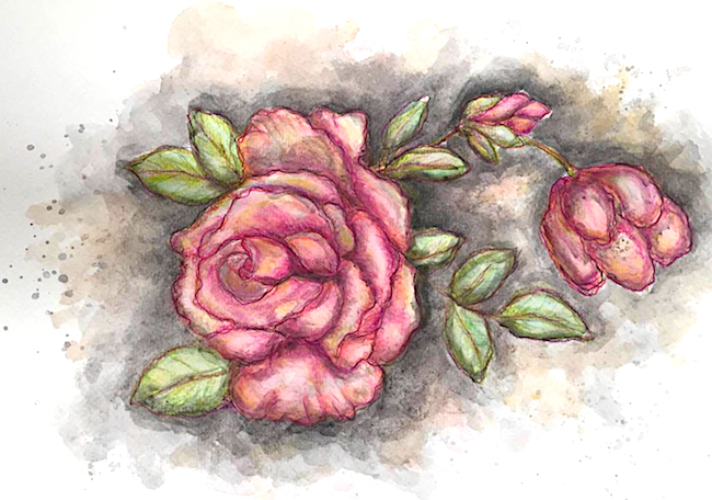 650x456 Roses Watercolor Amp Prismacolor Pencils Mixed Media Art Tutorials - Prismacolor Painting