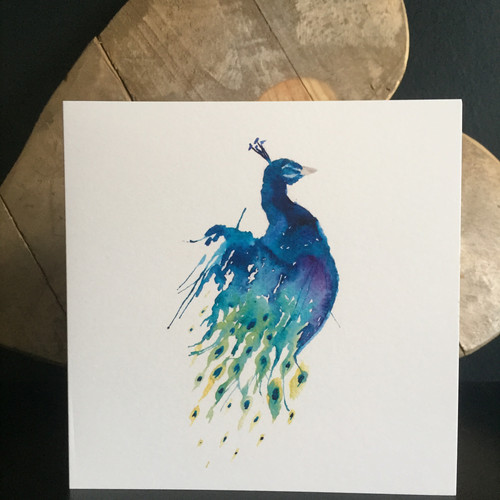 500x500 Rainbird Roots Collections - Proud Peacock Painting