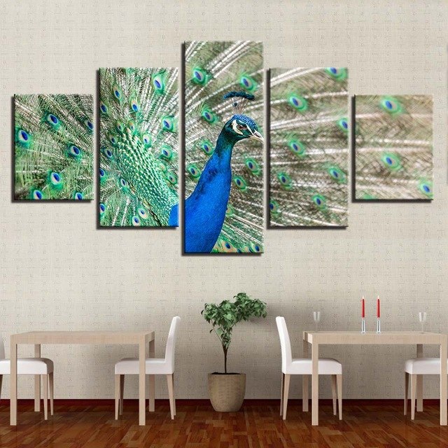 640x640 Canvas Animal Poster Home Decor Wall Art Hd Prints 5 Pieces - Proud Peacock Painting