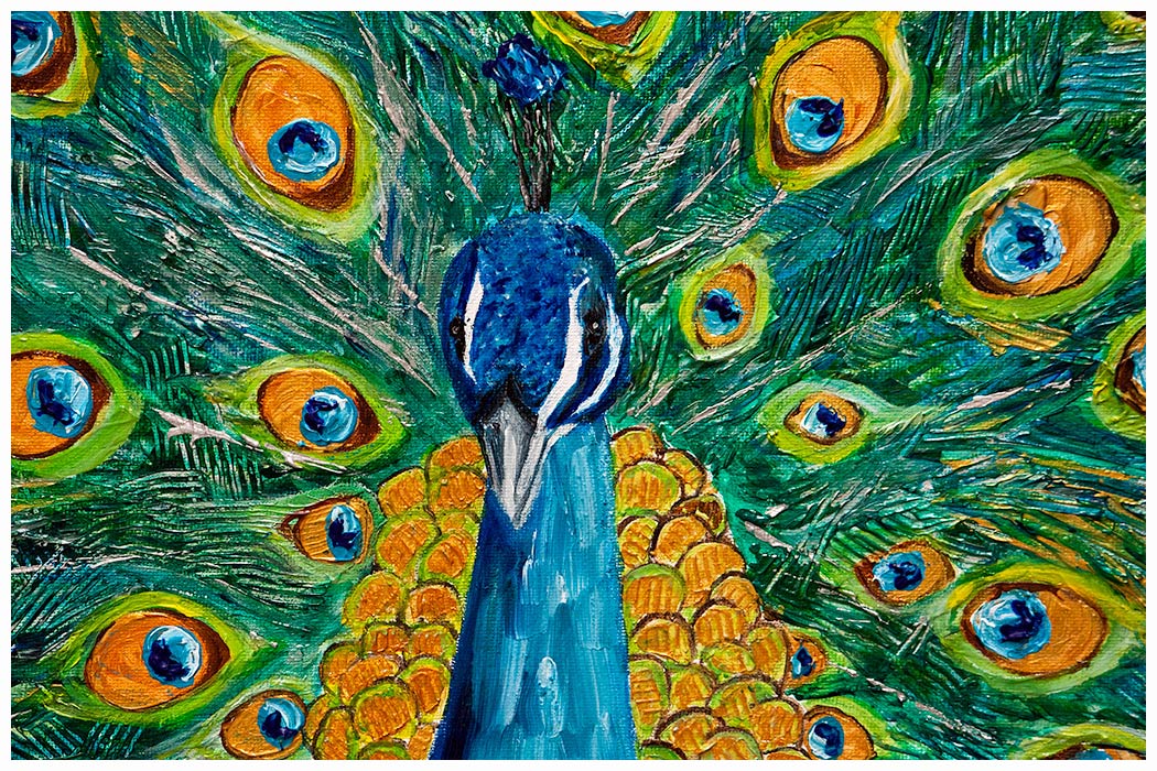1050x700 From My Canvas Proud Peacock - Proud Peacock Painting