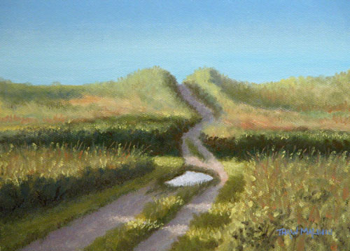 500x359 Morning Thaw Malin Art - Puddle Painting