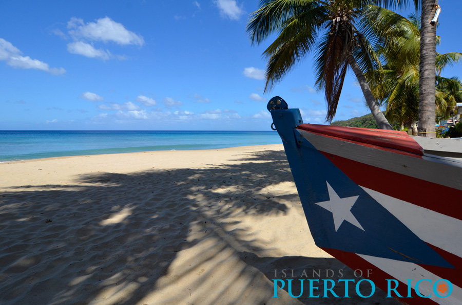 900x596 Puerto Rico Flag - Puerto Rican Flag Painting