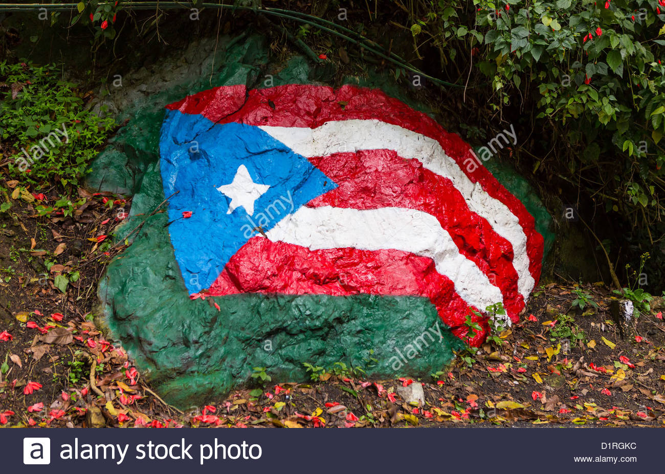 1300x926 Adjuntas, Puerto Rico - Puerto Rican Flag Painting
