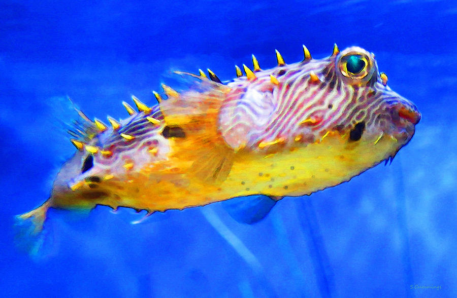 900x588 Magic Puffer - Puffer Fish Painting