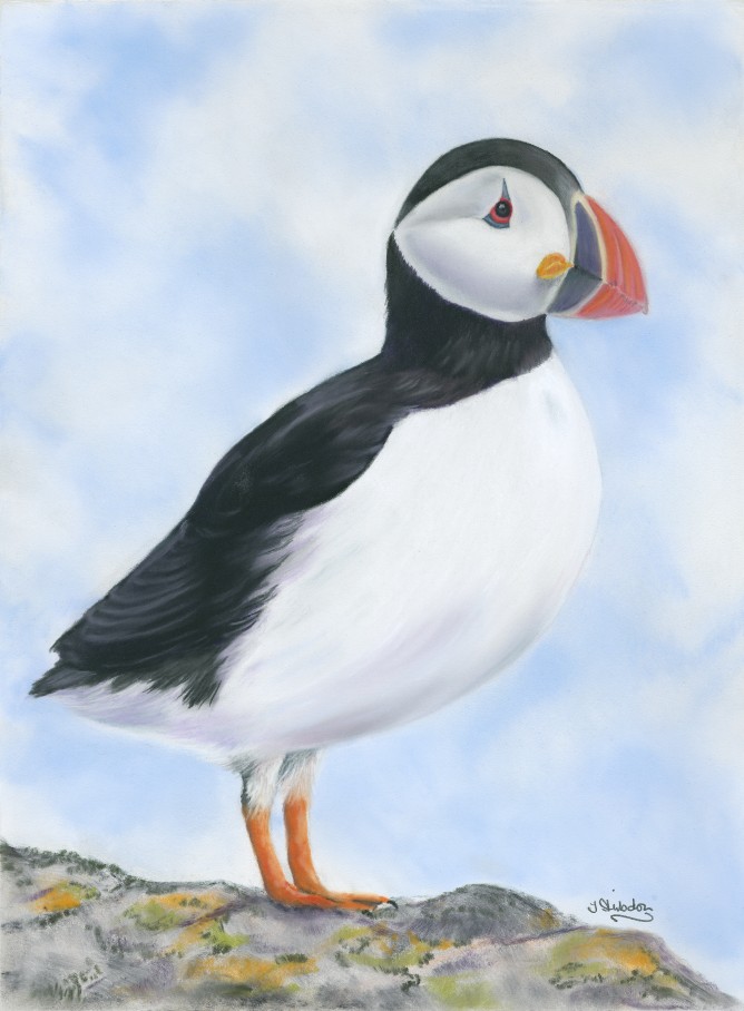 668x908 Irene Hilsdon - Puffin Painting