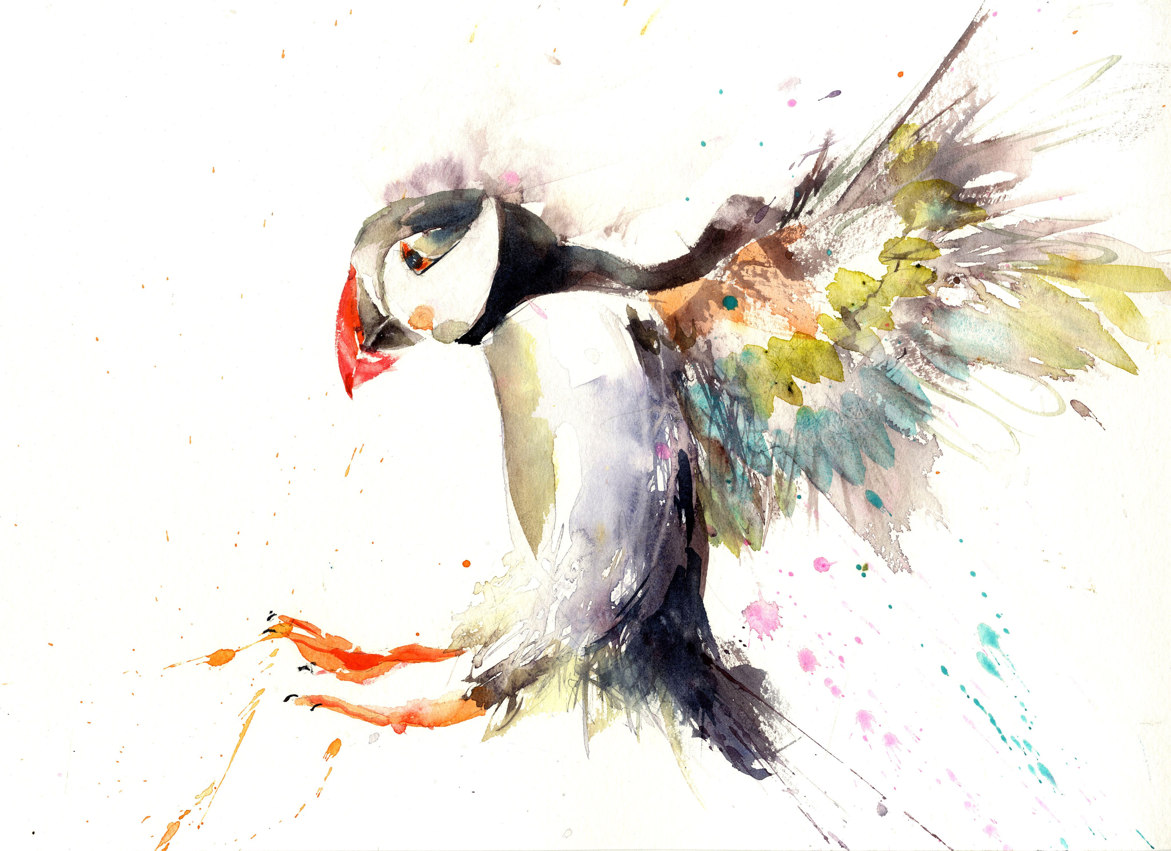 4096x2978 Limited Editon Print Of My Original Flying Puffin - Puffin Painting