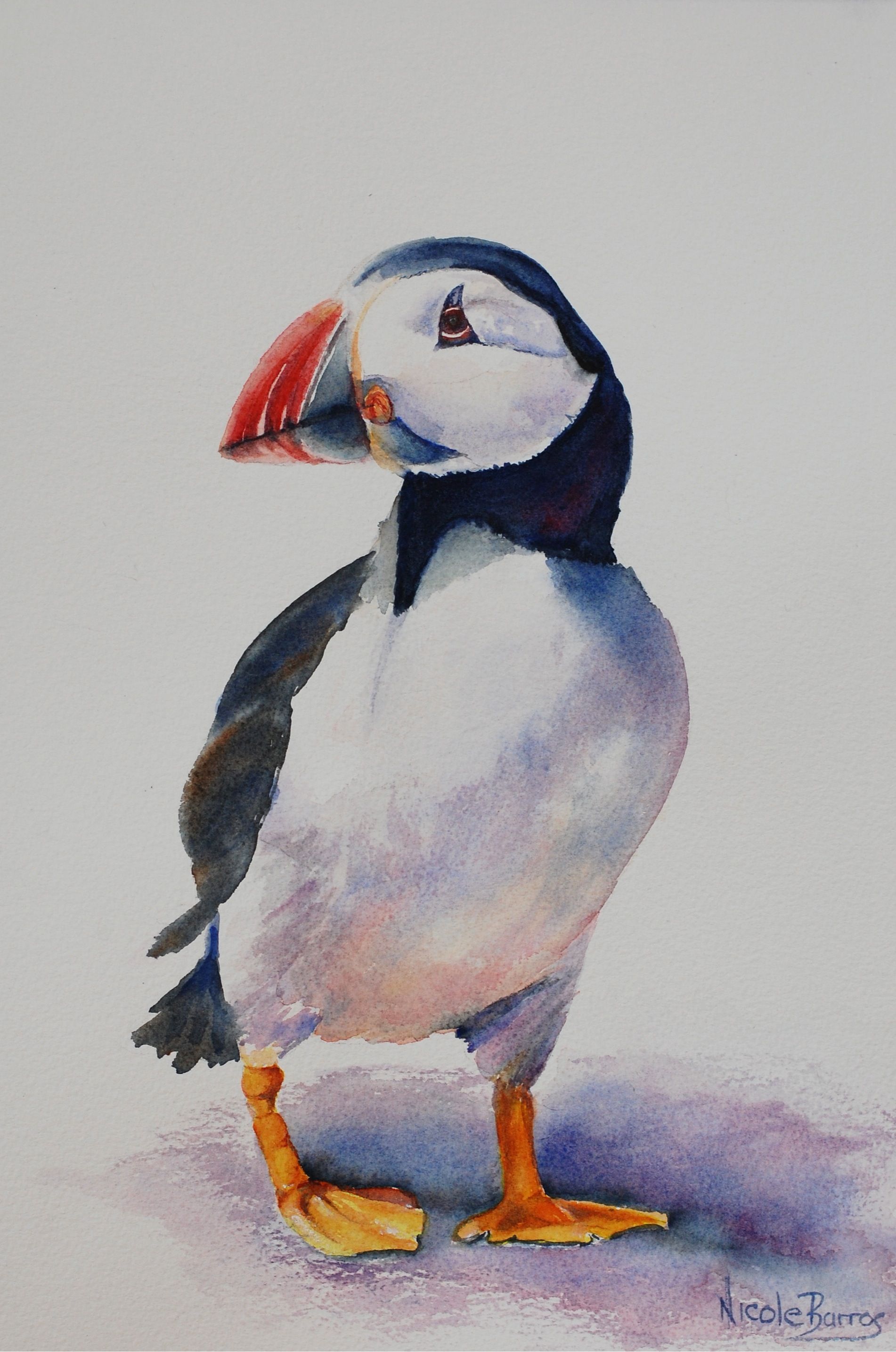 1902x2869 Mr Puffin. Watercolour Painting Maalaus Watercolor - Puffin Painting