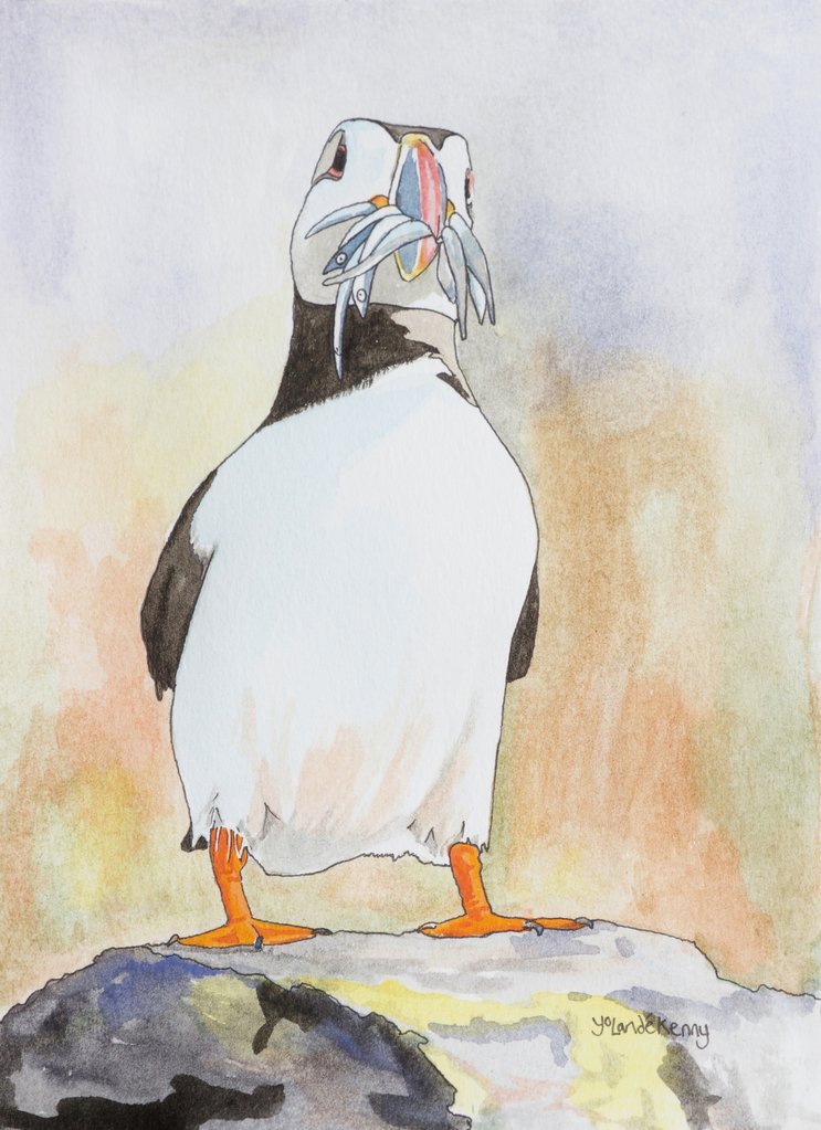 743x1023 Original Puffin Watercolour Painting By Kenny (598) East - Puffin Painting