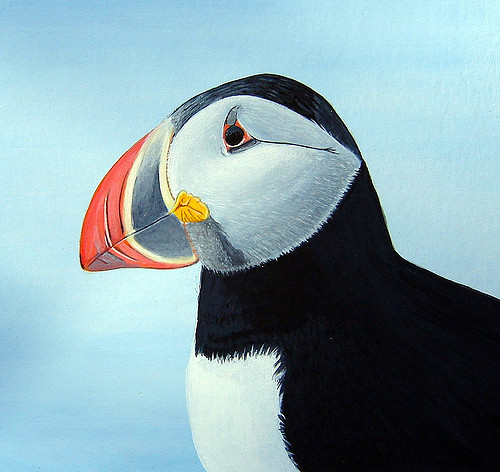500x472 Puffin (Painting) Acrylic On Art Board, Size 10 X 10 Inche - Puffin Painting