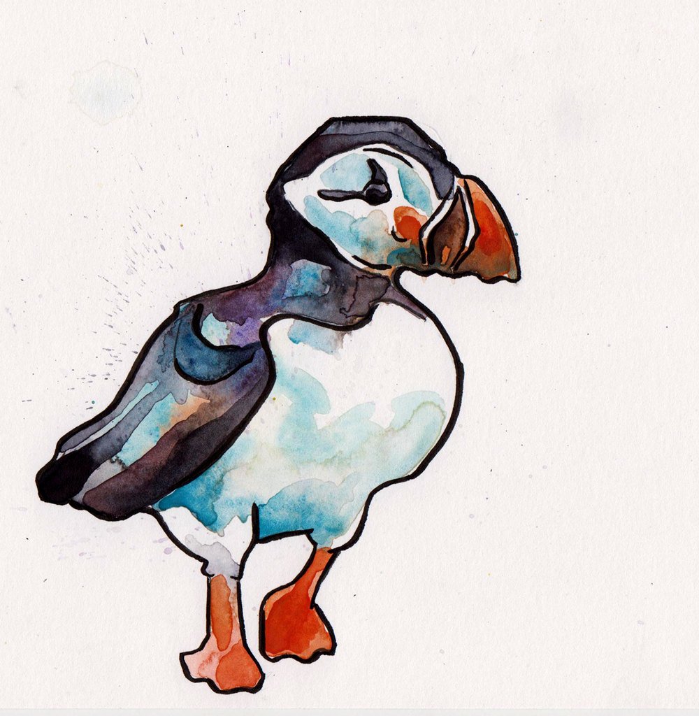1000x1024 Puffin Painting - Puffin Painting