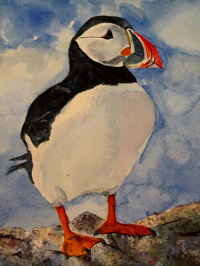 675x900 Puffin Painting By Louise Grant - Puffin Painting
