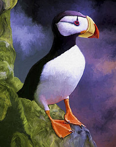 236x300 Puffin Paintings Fine Art America - Puffin Painting